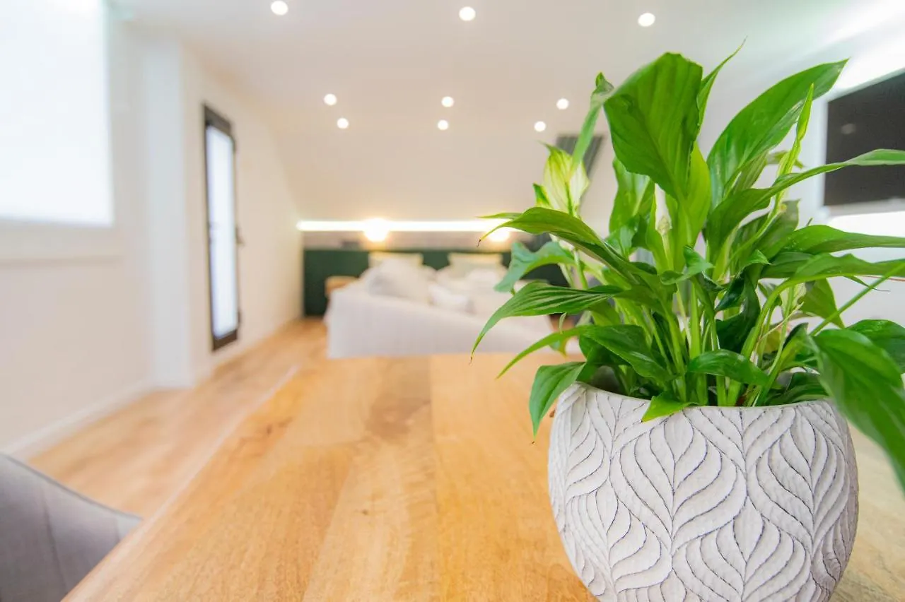 Laguna Home & Suites La Laguna  Apartamento